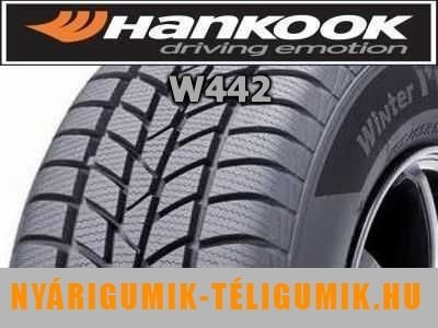 HANKOOK WINTER ICEPT RS W442